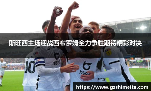 斯旺西主场迎战西布罗姆全力争胜期待精彩对决